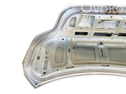 Aizmugurējais pārsegs (bagāžnieks)