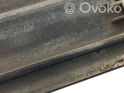 Fender decorative trim (molding)