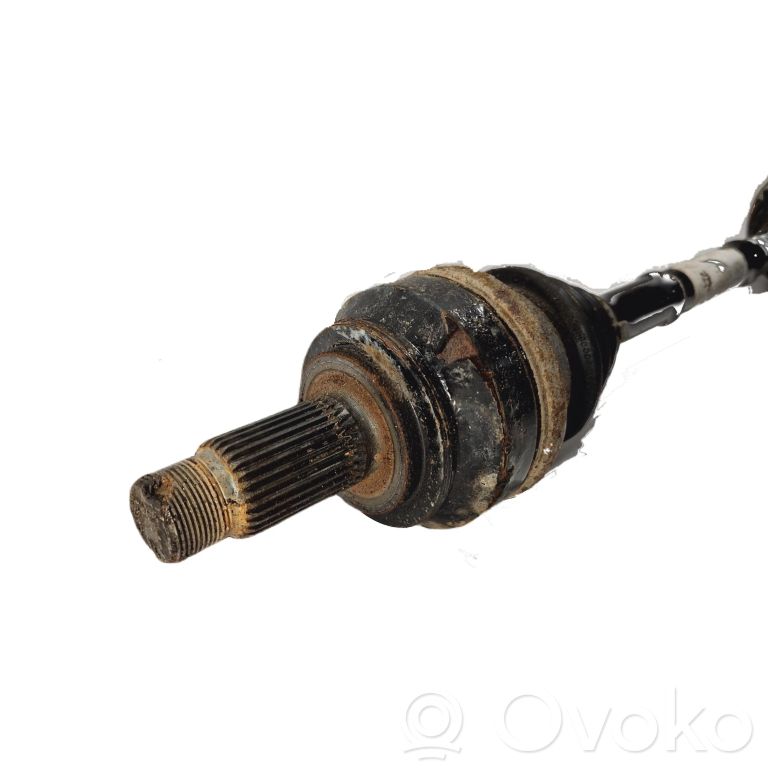 Aizmugurējā pusass