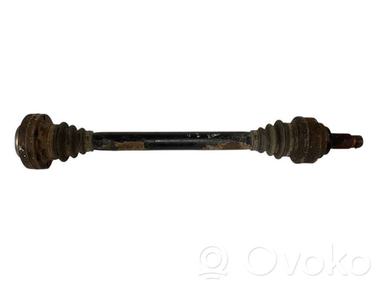 Aizmugurējā pusass