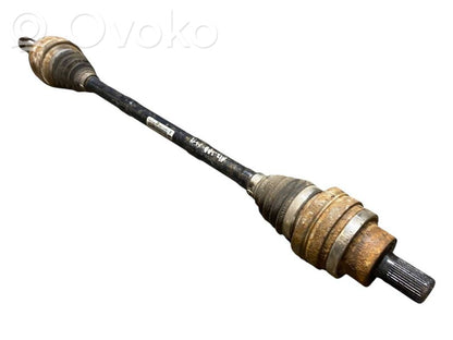 Aizmugurējā pusass