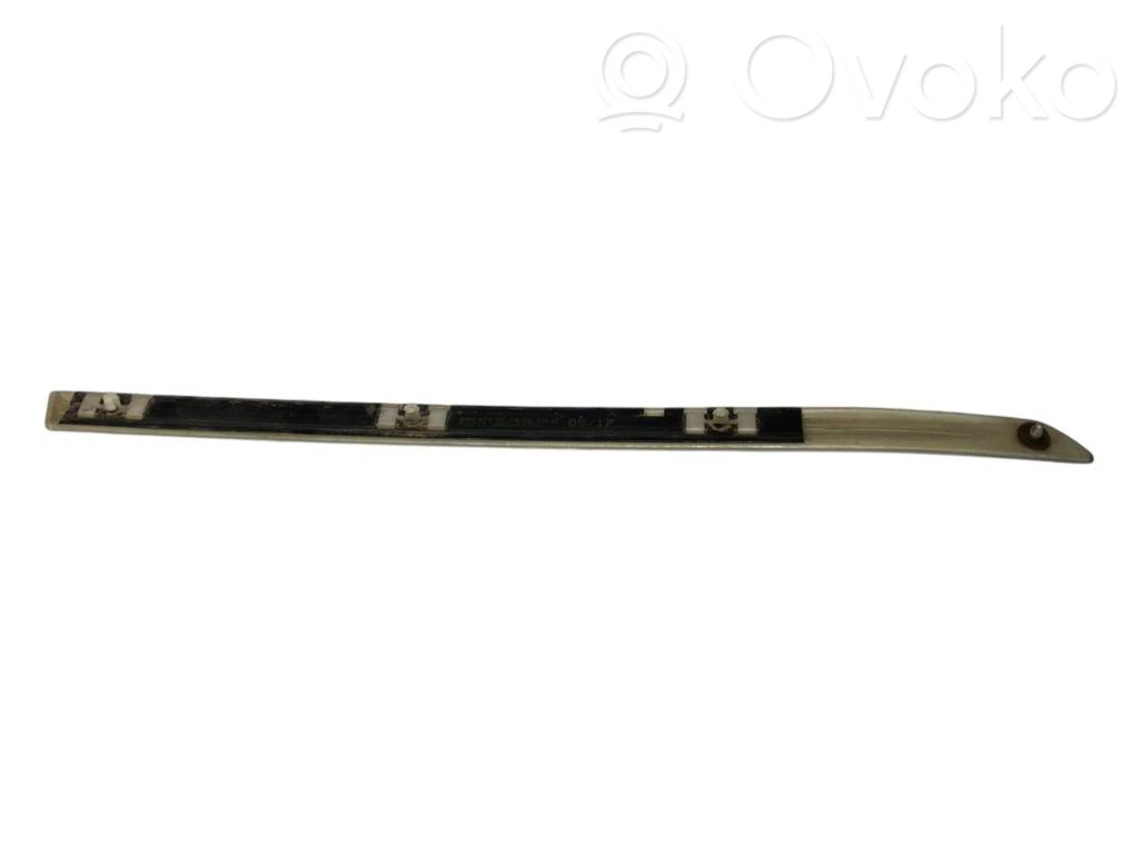 Aizmugurējā spārna uzlika / moldings