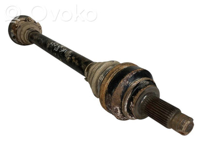 Aizmugurējā pusass