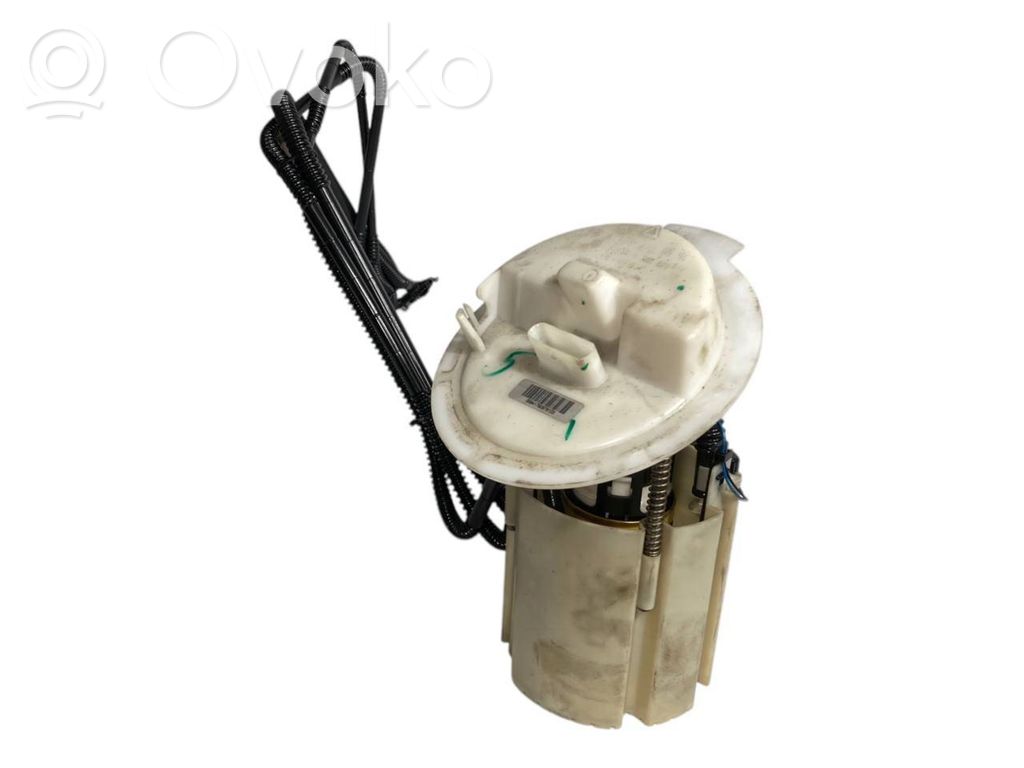 Fuel pump (in the fuel tank)