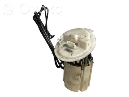 Fuel pump (in the fuel tank)