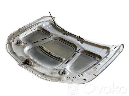 Dzinēja pārsegs (vāks)