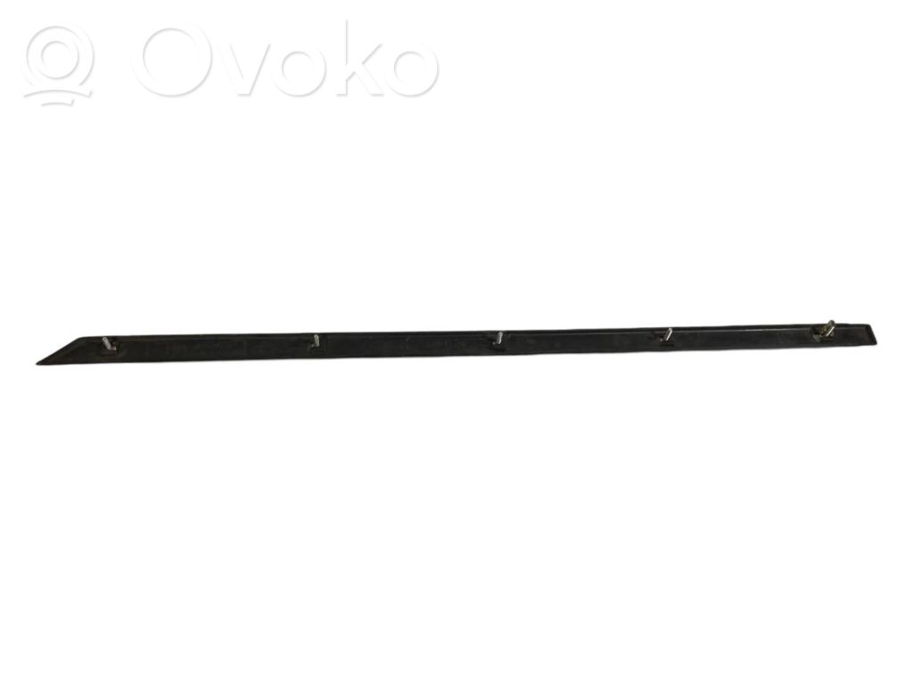 Aizmugurē durvju dekoratīvā apdare (moldings)