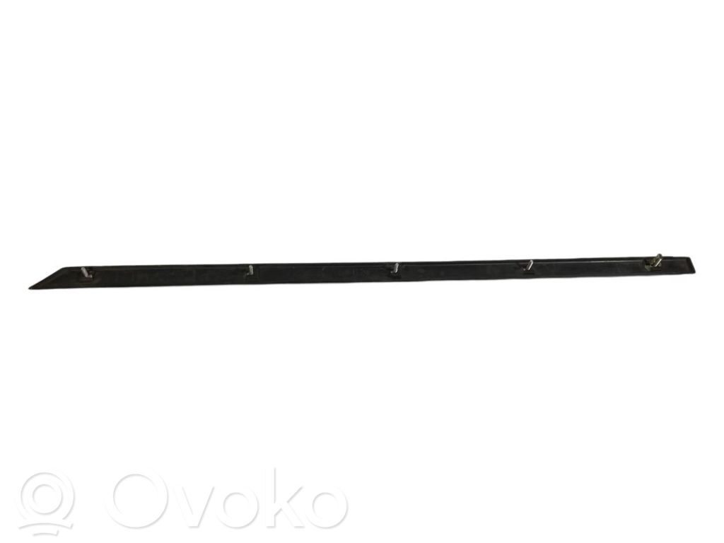 Aizmugurē durvju dekoratīvā apdare (moldings)