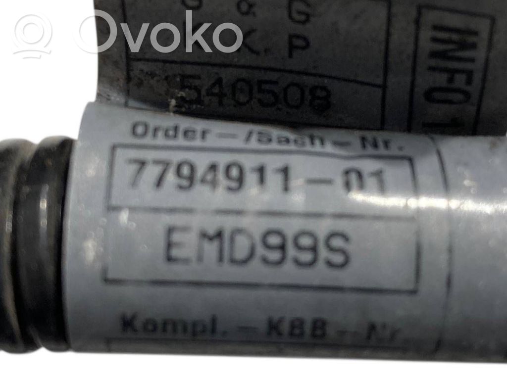 Plusa vads (akumulatora)