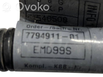 Plusa vads (akumulatora)