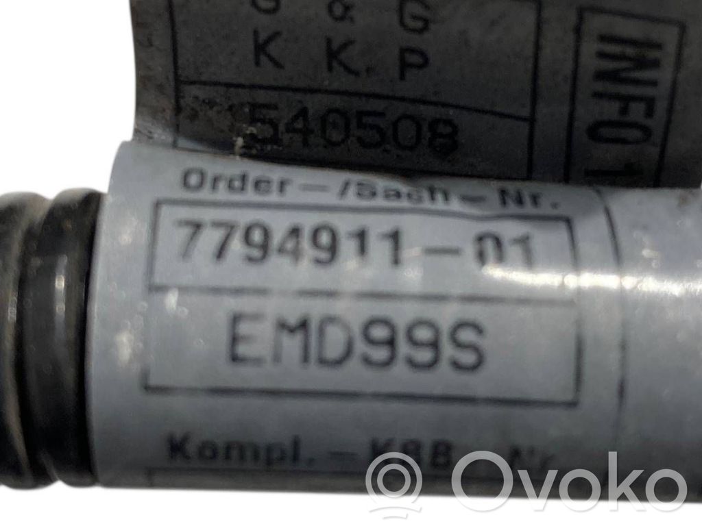 Plusa vads (akumulatora)