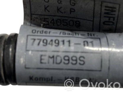 Plusa vads (akumulatora)