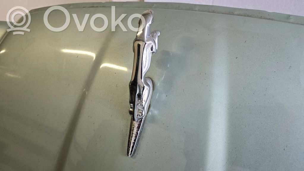 Dzinēja pārsegs (vāks)