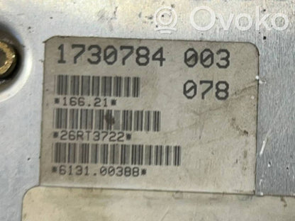 Panel decorative trim shield (central)