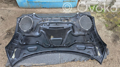 Dzinēja pārsegs (vāks)