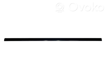 Priekšpusē durvju dekoratīvā apdare (moldings)