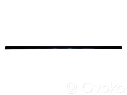 Front door decorative trim (molding)