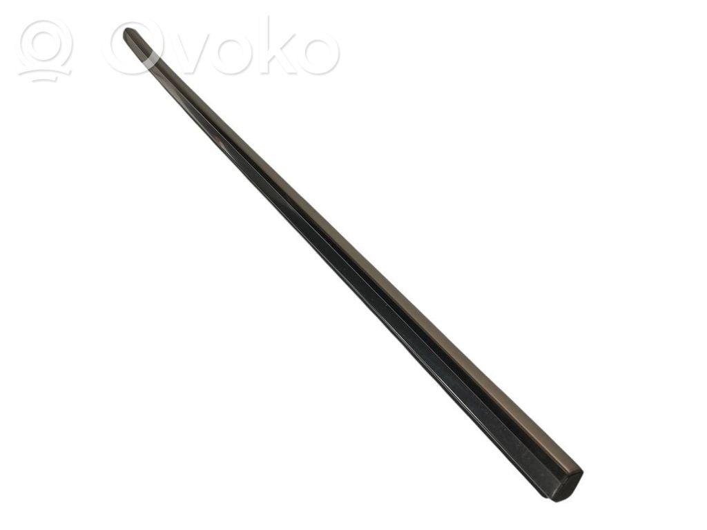 Aizmugurē durvju dekoratīvā apdare (moldings)