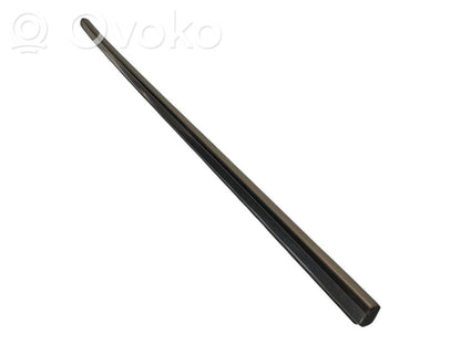 Aizmugurē durvju dekoratīvā apdare (moldings)