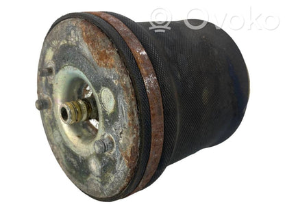 Aizmugurē gaisa spilvens