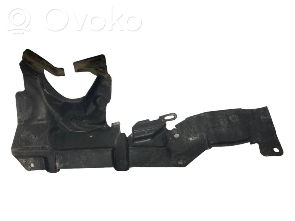 Under engine guard (front)