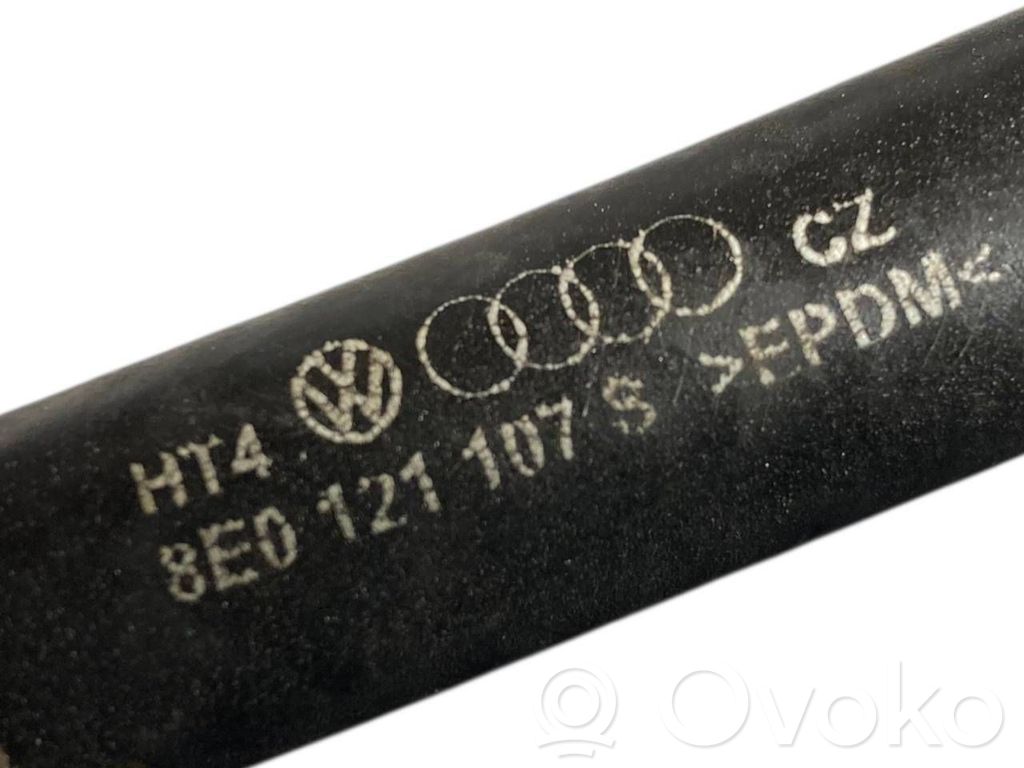 Caurulīte (-es) / šļūtene (-es)