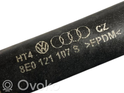 Caurulīte (-es) / šļūtene (-es)