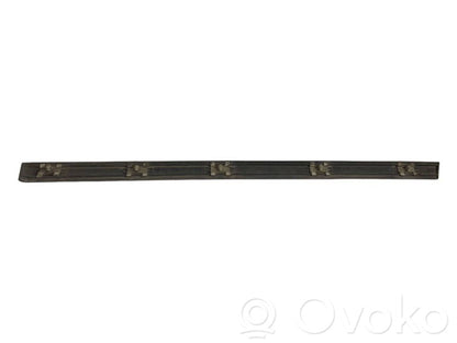 Aizmugurē durvju dekoratīvā apdare (moldings)