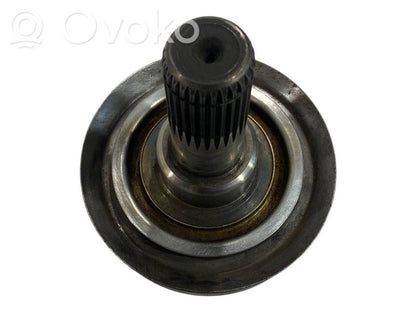 Aizmugurējā pusass