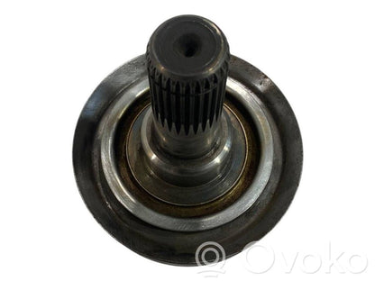 Aizmugurējā pusass