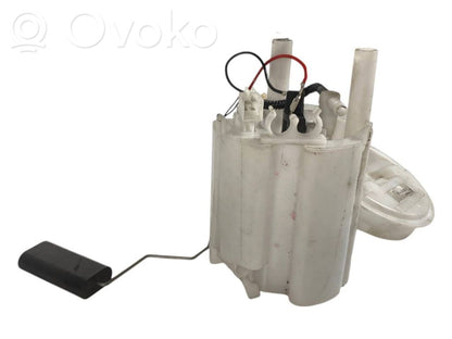 Fuel pump (in the fuel tank)