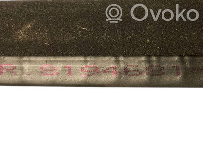 Front trim rubber (in the body)