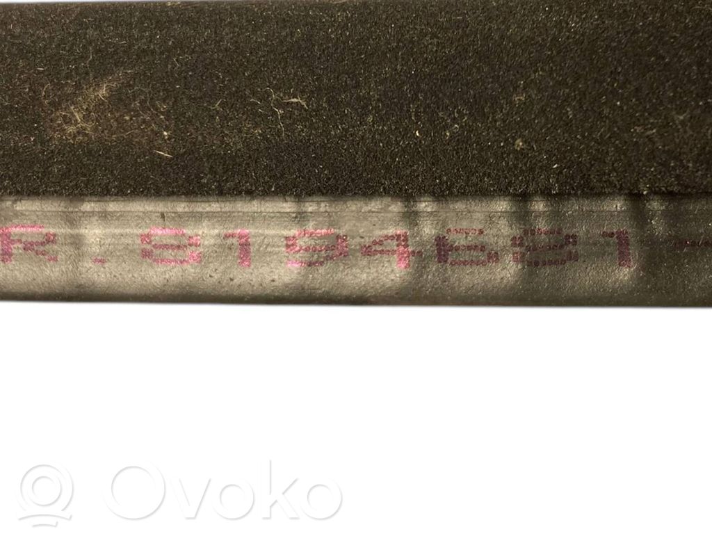 Front trim rubber (in the body)