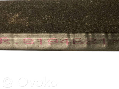 Front trim rubber (in the body)