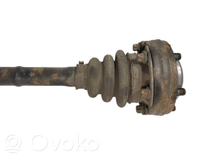 Aizmugurējā pusass