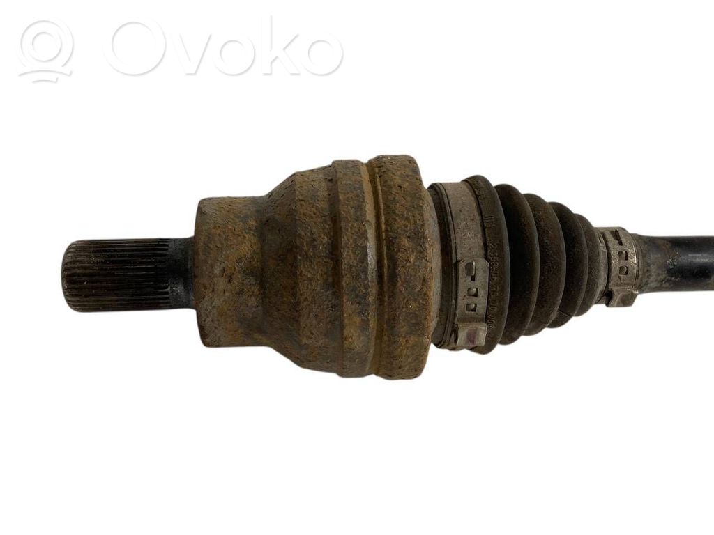 Aizmugurējā pusass