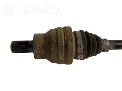 Aizmugurējā pusass