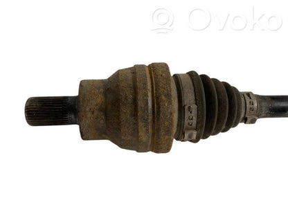 Aizmugurējā pusass