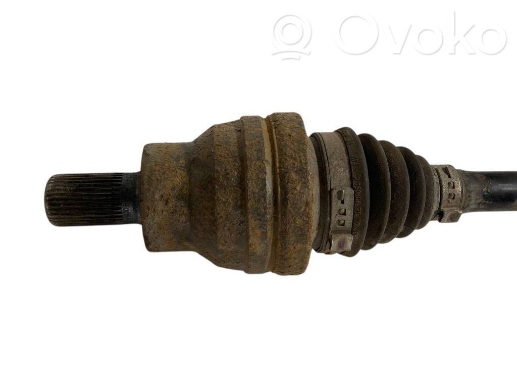 Aizmugurējā pusass