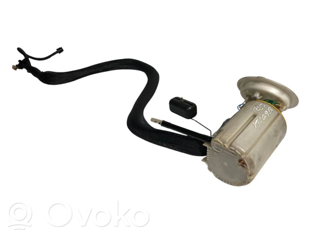 Fuel pump (in the fuel tank)