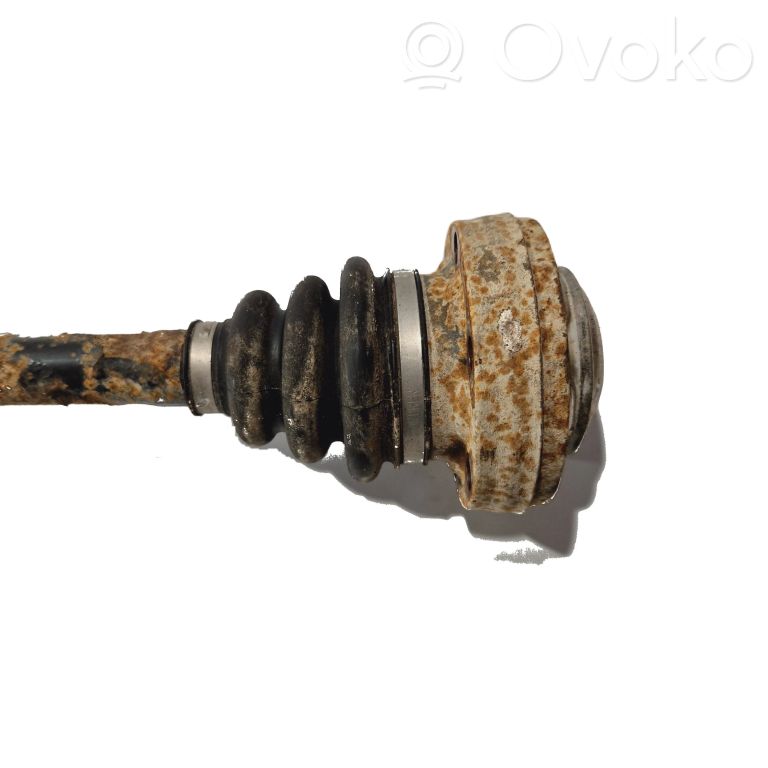 Aizmugurējā pusass