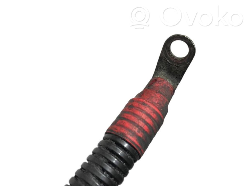 Plusa vads (akumulatora)