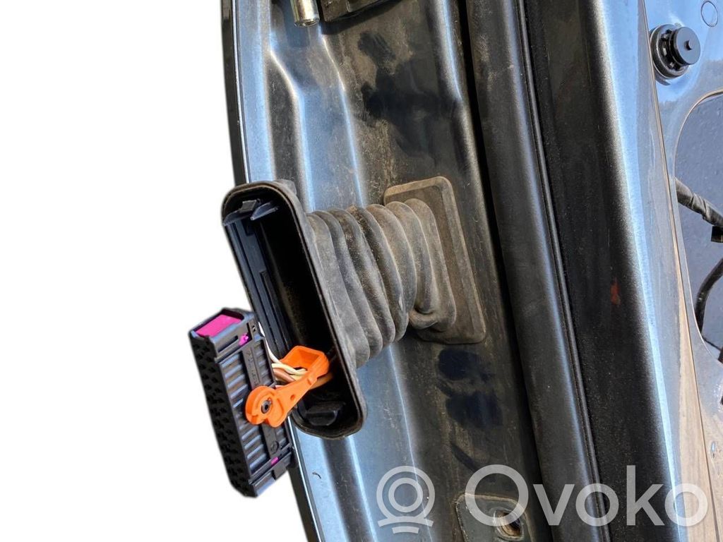 Aizmugurējās durvis