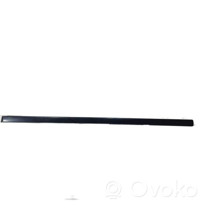 Front door decorative trim (molding)