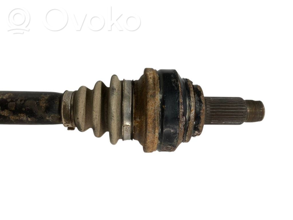 Aizmugurējā pusass