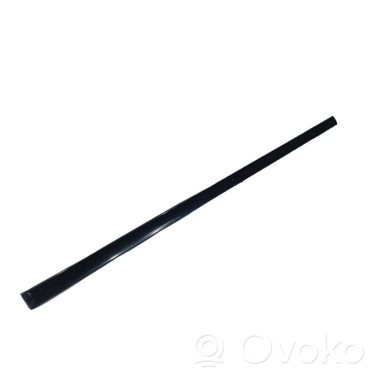 Rear door decorative trim (moulding)