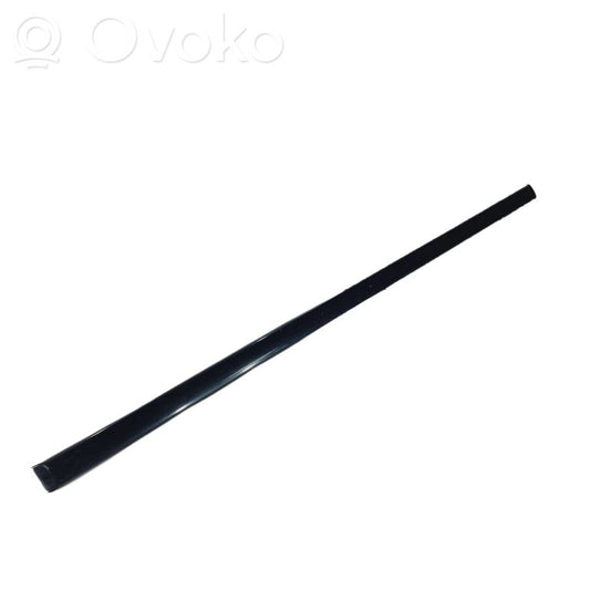 Rear door decorative trim (moulding)