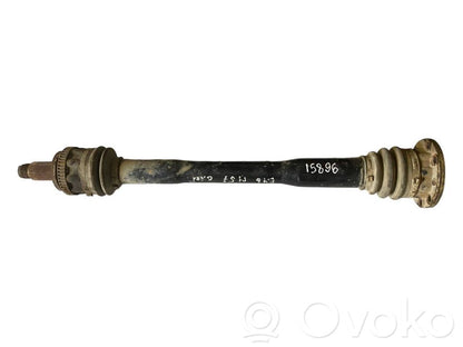 Aizmugurējā pusass