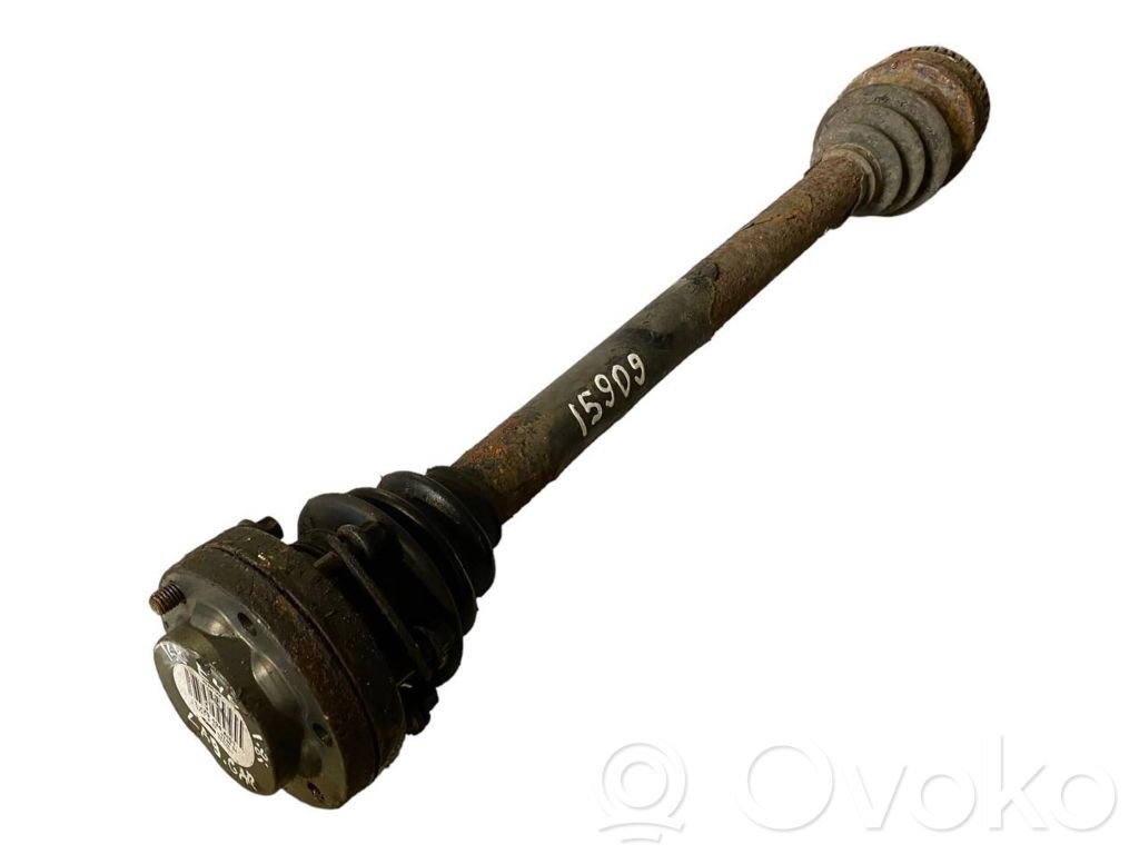 Aizmugurējā pusass