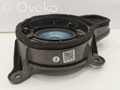 Speaker(s) in front door